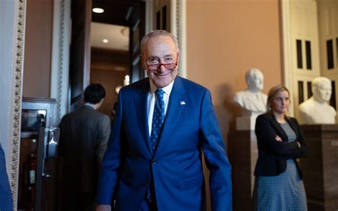 Schumer elected to lead Democratic Senate majority | WORLD