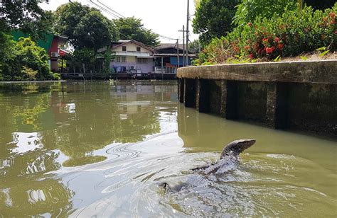 Klong Tour Bangkok - ThailandMagazine.com