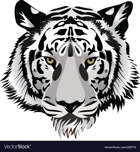 Tiger head Royalty Free Vector Image - VectorStock