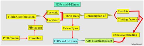 Fibrinogen Degradation Products (FDPs), Fibrin Split Products