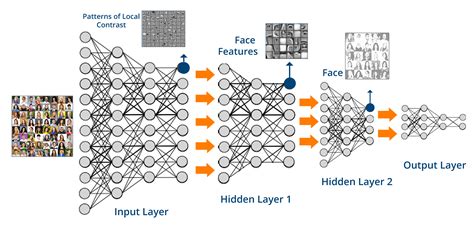 Are deep neural nets "Software 2.0"? - Michael's Bioinformatics Blog