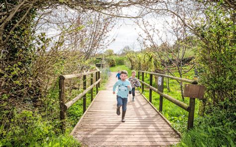 Essential Occombe trail works – Torbay Coast & Countryside Trust