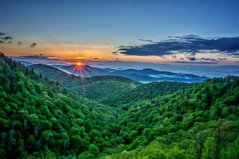 Download Sun Sunrise Forest Nature Mountain HD Wallpaper