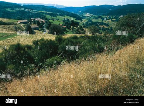 Forez Stock Photos & Forez Stock Images - Alamy