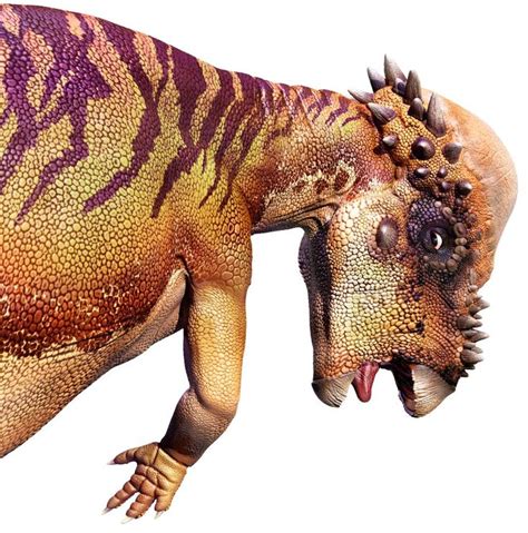 Another view of Pachycephalosaurus, featuring the tonsure of sharp spikes. | Prehistoric ...