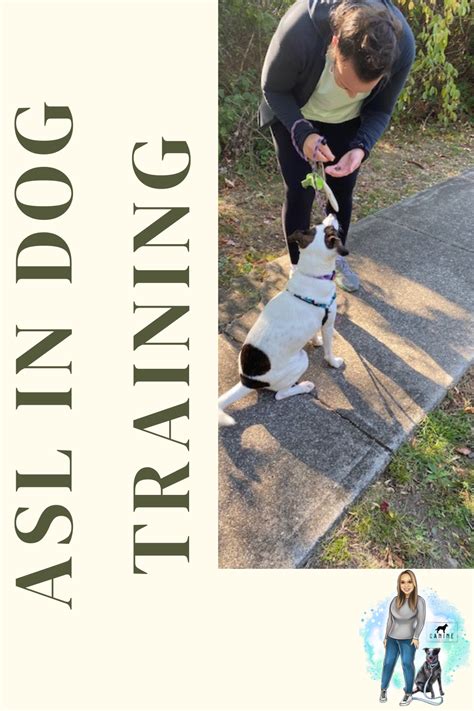 Asl for dog training – Artofit