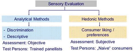 Sensory methods are divided in analytical tests, including... | Download Scientific Diagram