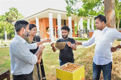 Rajarata University of Sri Lanka established an Apiary at Mihintale ...