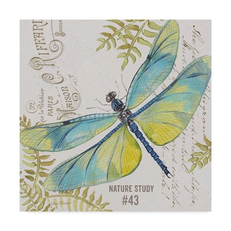 Trademark Fine Art 'Botanical Dragonfly 3' Canvas Art by Jean Plout - Walmart.com