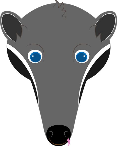 Anteater face clipart. Free download transparent .PNG | Creazilla