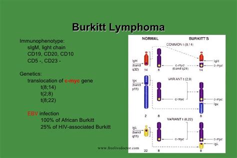 Lymphoma