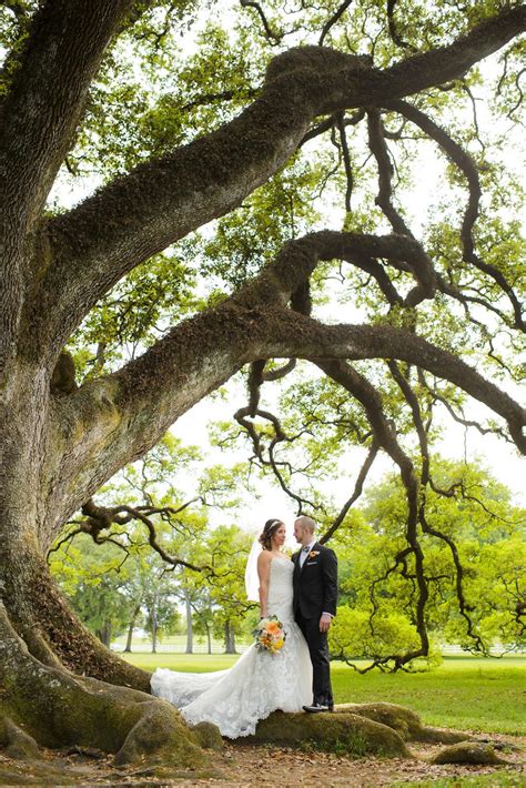 Oak Alley Plantation Weddings - Eye Wander Photo