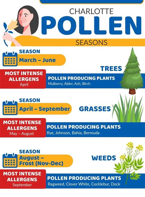 Pollen 2024 Allergy Season - Lynna Rosalia