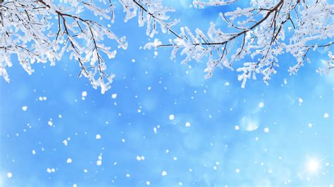 Blue Snow Wallpaper