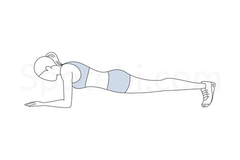 Plank | Illustrated Exercise Guide | Workout guide, Workout without gym, Plank workout