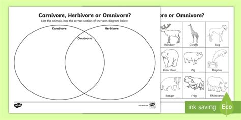 FREE! - Sorting Carnivores, Herbivores, and Omnivores KS1 Worksheet