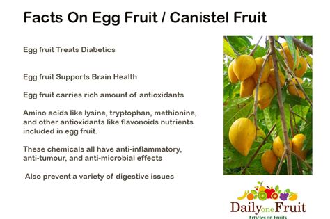 Interesting Facts On Egg Fruit - dailyonefruit