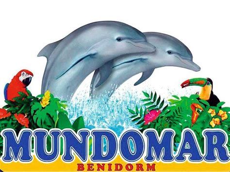 Mundomar Benidorm – Encounter with Dolphins | musement