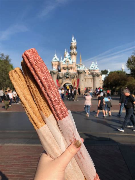 Churro Flavors At Disneyland 2024 - Audra Candide