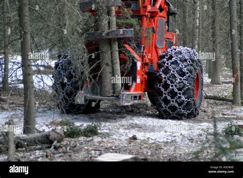 Logging industry Stock Photo - Alamy