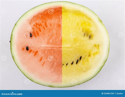 Image of Watermelon Fruit Background Stock Image - Image of orange ...