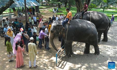 World Animal Day marked at Bangladesh National Zoo - Global Times