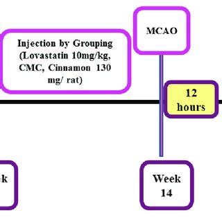 Schematic diagram of experimental design. | Download Scientific Diagram