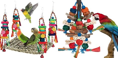 Amazon.com : BBjinronjy Parakeet Toys Conure Toys Bird Foraging Wall ...