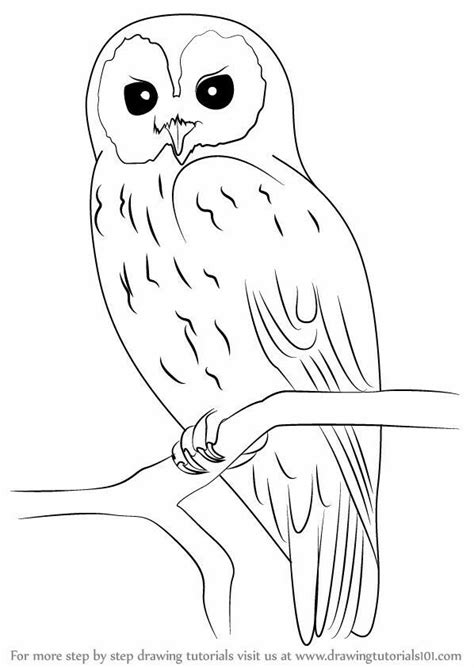 Pin on Owl sketches | Owls drawing, Owl drawing simple, Art drawings