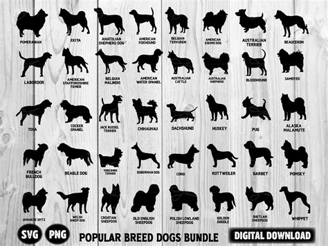 Dog Breed Chart With Numbers - vrogue.co