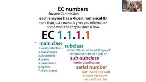 Enzyme classification, EC (enzyme commission) numbers, and exploring ...