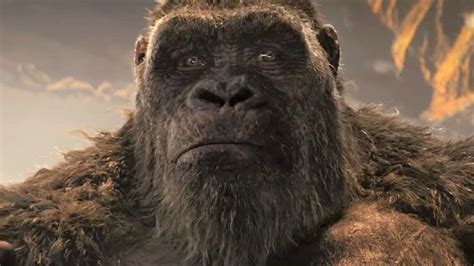 We Finally Know The Real Reason Kong Had To Leave Skull Island