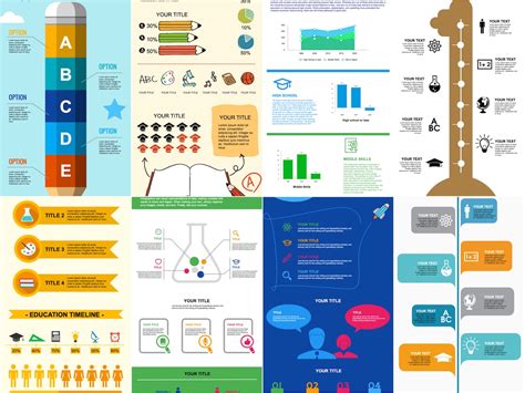 20 Great Infographic Examples for Students & Education