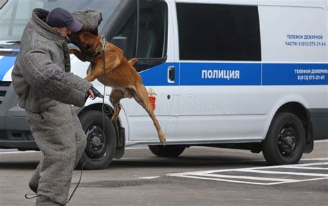 Police dogs in Russia. editorial stock photo. Illustration of russia ...