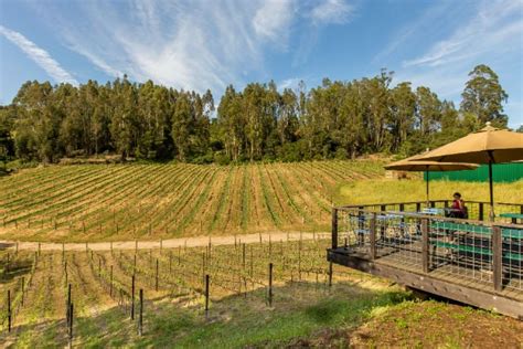 Santa Cruz Wineries That Need to Be on Your Radar - Visit Santa Cruz County