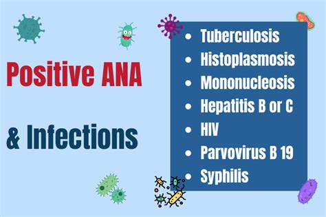 Positive ANA -What are the common 5 causes for a positive ANA test ? - Rheumatologist OnCall ...