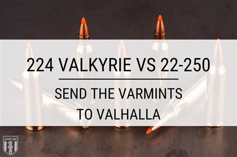 224 Valkyrie vs 22-250 - Caliber Comparison by Ammo.com