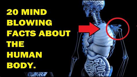 Top 20 Mind blowing Facts About the Human Body you should know about ...