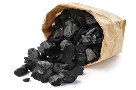 How Long Charcoal Bag Last? – The People’s Gallery