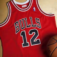 Chicago Bulls Michael Jordan 12 Jersey by Mitchell and Ness | SportFits.com