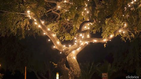 Diwali Light Decoration: 10 Spectacular Lighting Ideas to Brighten Your Diwali