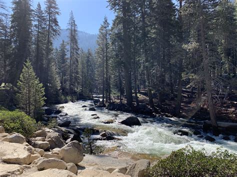 Sequoia National Park 24 Hour Travel Guide - The Active Habitat