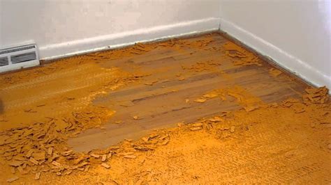 How To Remove Old Carpet Padding Stuck Wood Floor | Viewfloor.co