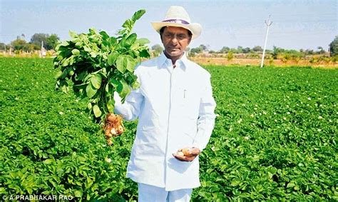 Telangana Fans: KCR at His Farm house-Gajwel