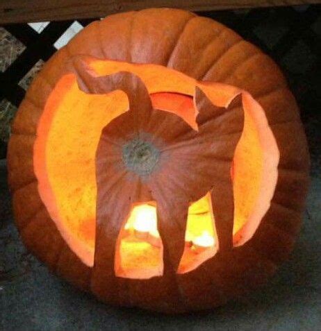 Incredible Carved Pumpkins That Deserve an Award – Page 3 Funny Pumpkin ...