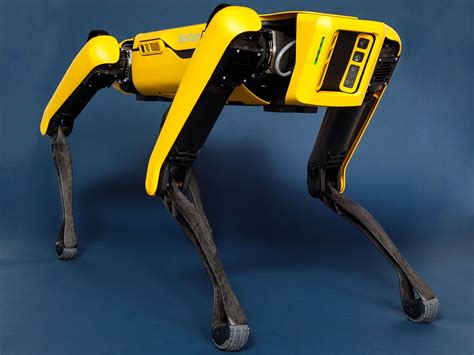 Boston Dynamics' Spot Robot Dog Goes On Sale IEEE Spectrum - IEEE Spectrum | Boston dynamics ...