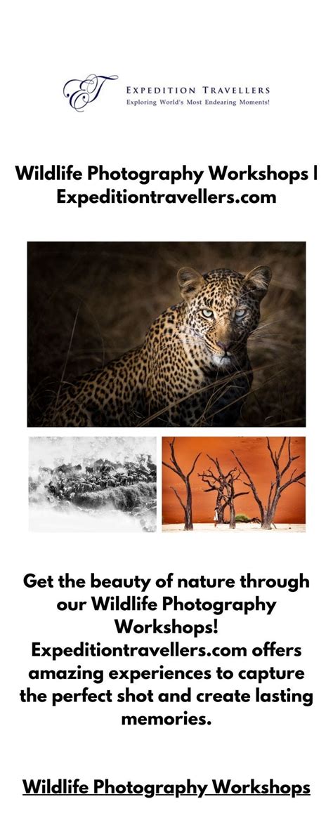 Wildlife Photography WorkshopsWildlife Photography Workshops | Expeditiontravellers.com ...