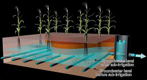 Underground irrigation can satisfy agricultural water demand - KWR