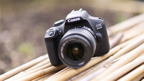 Canon Rebel T7 vs Canon T6 vs Canon T100 – Comparison | GearOpen