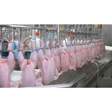 Chicken Processing Plant at best price in New Delhi by Bombay Ammonia ...